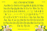 Eleyna Rough, a Serif Font by Craft Supply Co. (Thumbnail 8 of 8)