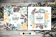 Exotic plant and fruit sketches set, a Food Illustration by Yevheniia (Thumbnail 5 of 11)