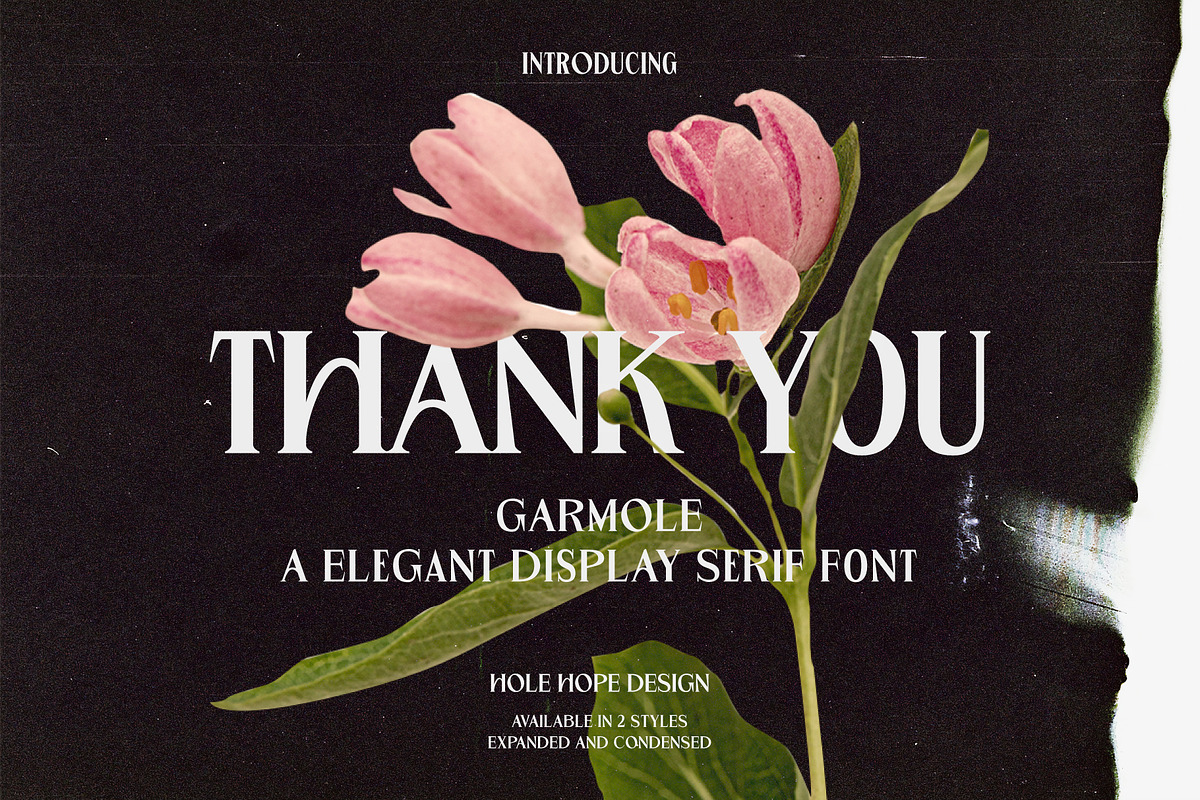 Garmole - Elegant Serif Font, a Serif Font by Hole Hope Design (Photo 10 of 10)