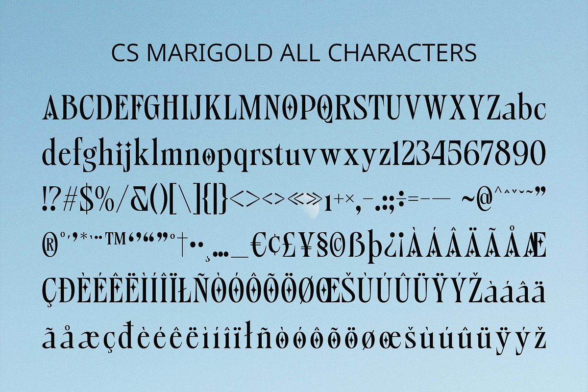CS Marigold – Classic Font, a Serif Font by Craft Supply Co. (Photo 8 of 8)