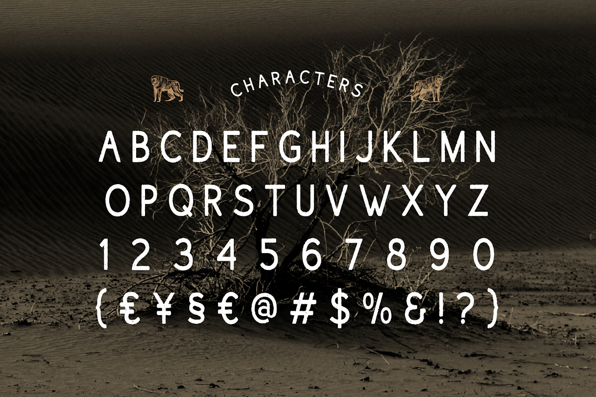 Dustmoor Vintage Adventure Font, a Sans Serif Font by Vadovastd (Photo 2 of 7)