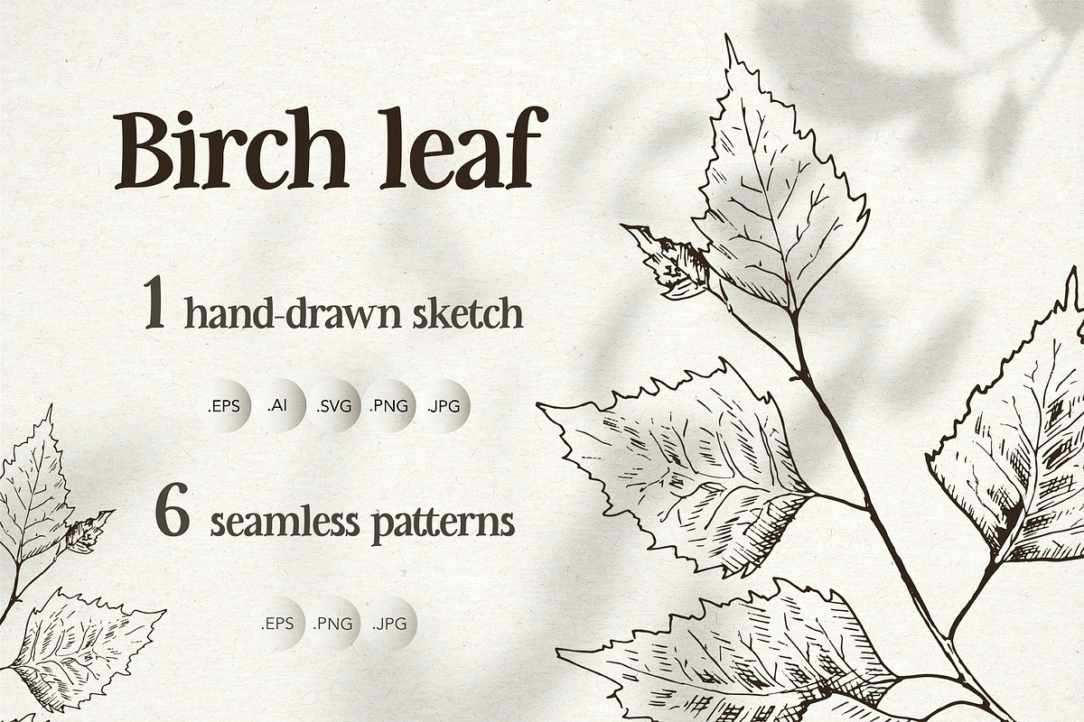 Birch leaf. Sketch and patterns, an Illustration by Canatic (Photo 1 of 10)