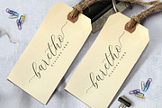 Lindage Script, a Script Font by josstype (Thumbnail 6 of 9)