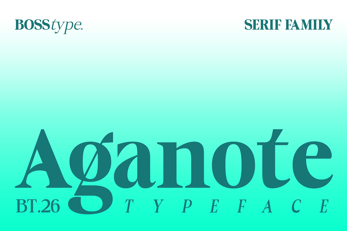 Aganote Typeface | 91 Style Font, a Serif Font by Bosstype Studio (Photo 1 of 12)