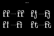 TT Alientz, a Serif Font by TypeType (Thumbnail 13 of 15)