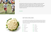 Agrolinx Responsive One Page Theme, a Landing Page Template by IceTemplates (Thumbnail 3 of 3)