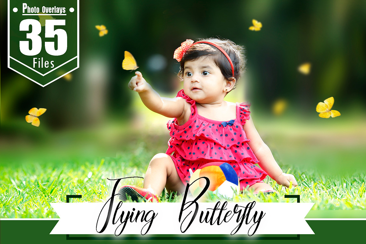 35 Butterfly Photoshop Overlays preview 6