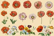 Vintage Flowers Digital Collage Pack, an Illustration by DigitalDesignAI (Thumbnail 5 of 9)