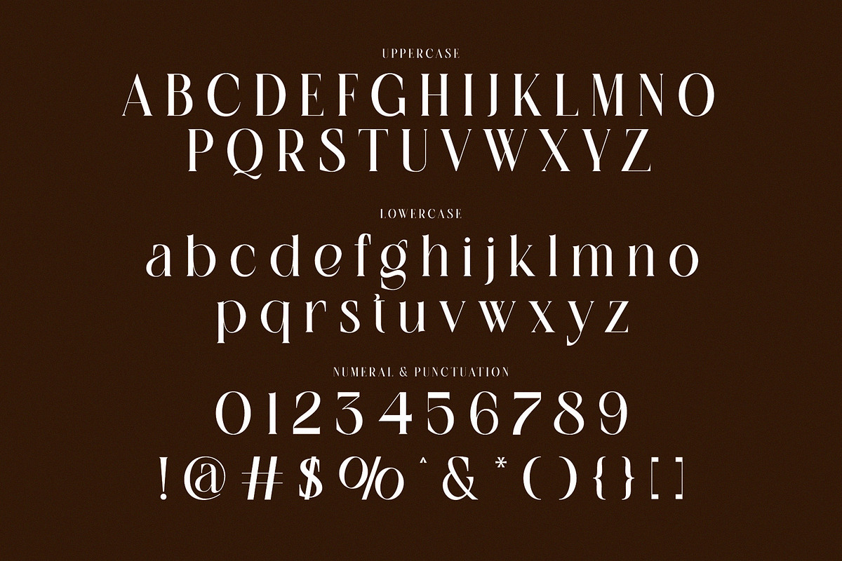Mallste – Modern Serif Typeface, a Serif Font by Alfinart (Photo 5 of 6)