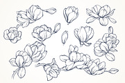 Linear vector magnolia flowers set, an Illustration by Color and Decor (Thumbnail 2 of 3)
