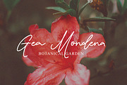 Damione - Handwritten Signature, a Handwritten Font by tebaltipislab (Thumbnail 6 of 10)