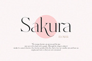 Dealoras Font Duo, a Serif Font by Attract Studio (Thumbnail 12 of 17)