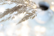Cosy Winter Bundle | Styled Stock, a Food & Drink Photo by Chalking Up Stock (Thumbnail 9 of 16)