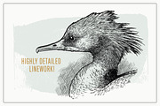 Hand Drawn Shorebirds Set, an Animal Illustration by Well Rock Designs (Thumbnail 4 of 8)