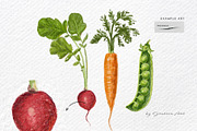 15 Procreate Color Pencils Brush Set, a Brush Add-On by Jenteva Art (Thumbnail 11 of 16)
