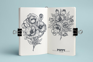 Vector Poppy Flowers Set