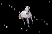 Virgil Monospaced Font, a Serif Font by That That Creative (Thumbnail 3 of 8)