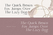 Cellga Typeface, a Sans Serif Font by alit design (Thumbnail 9 of 17)