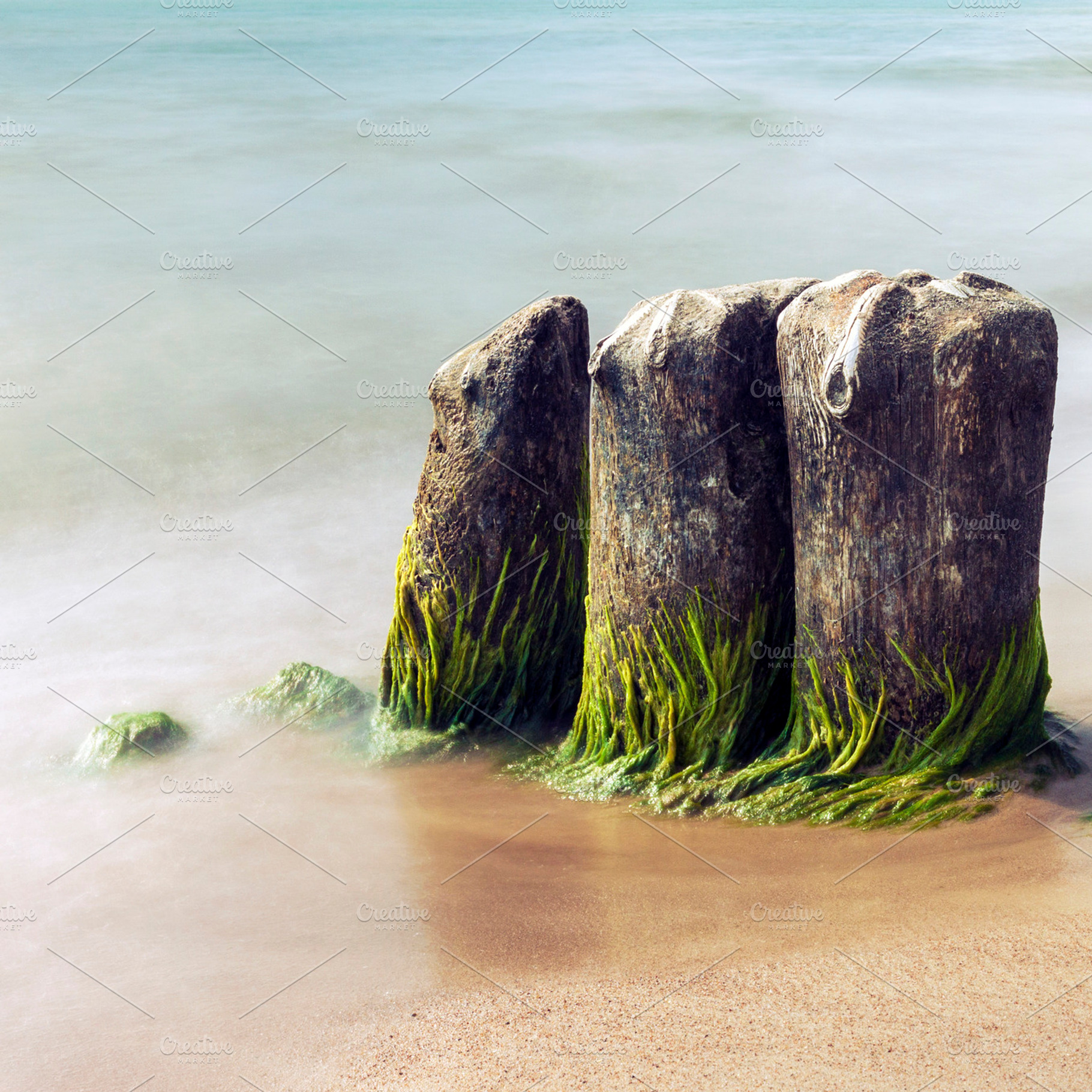 Old mossy groines in the sea, a Nature Photo by BOOCYS