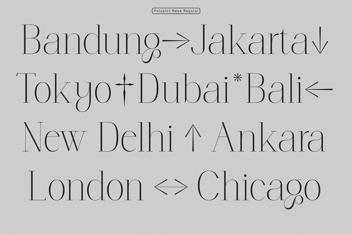 Polyglot Neue, a Serif Font by MJtypefoundry (Photo 5 of 13)