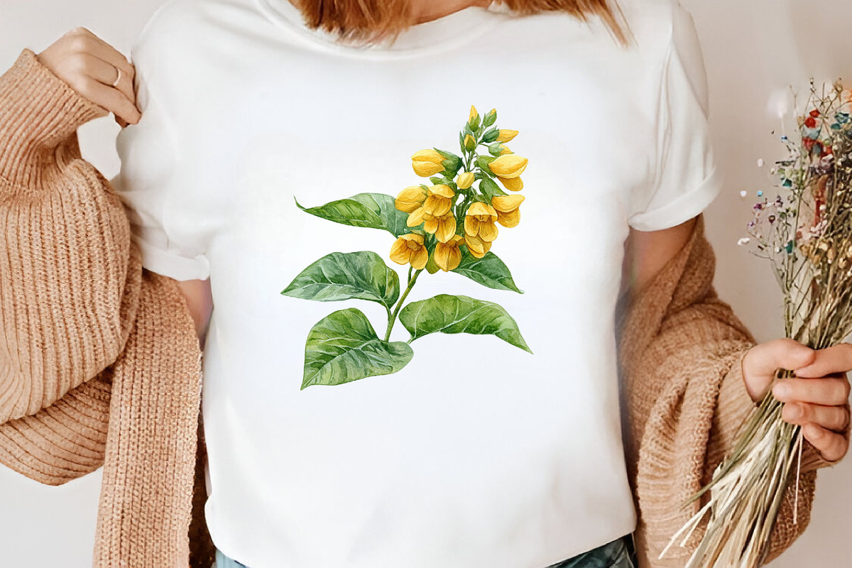 Watercolor Soybean Clipart Bundle, an Illustration by Canvas Craft (Photo 6 of 8)