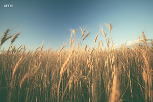 Haze Photoshop Actions