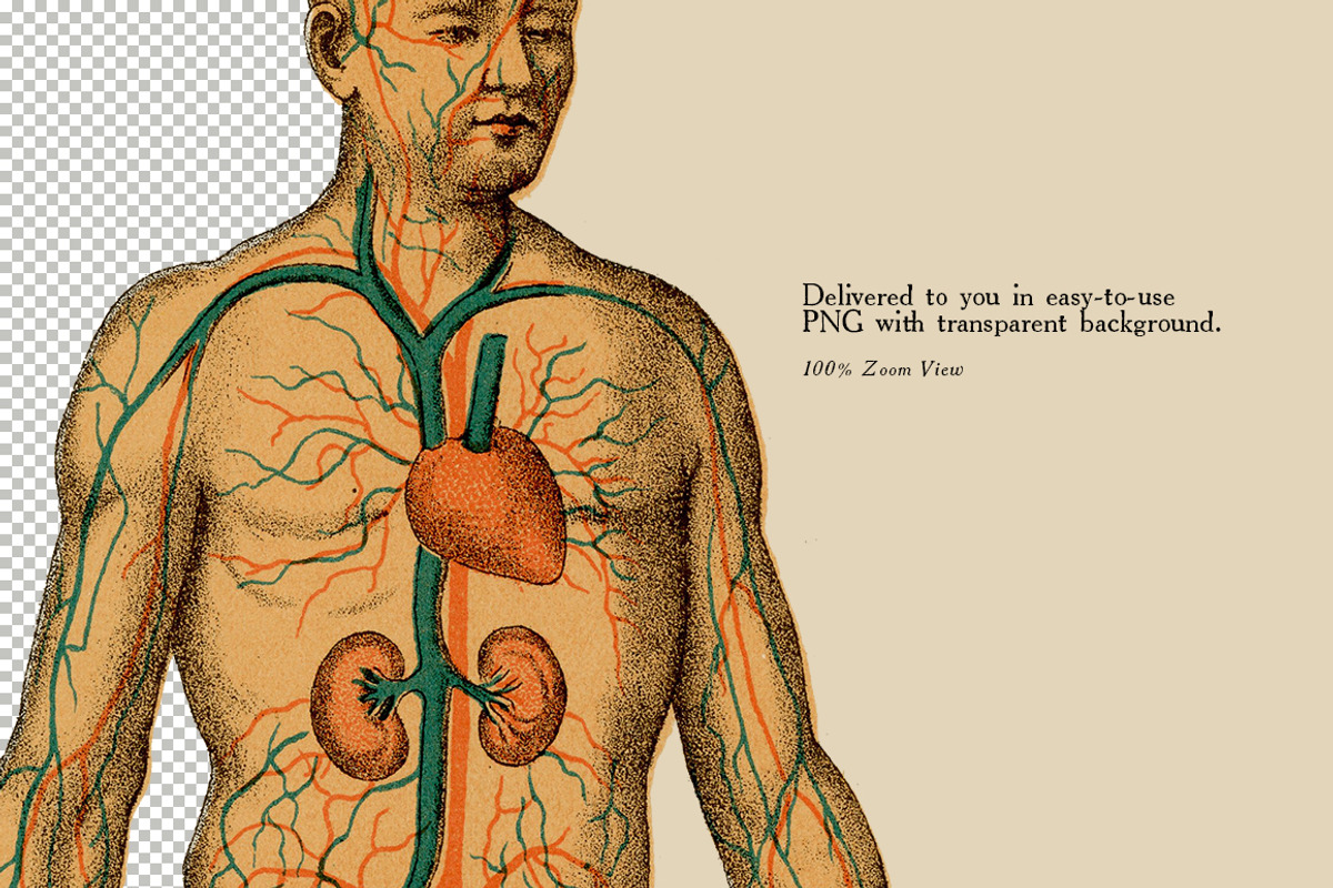 25 Medical Colored Illustrations, a Healthcare Illustration by Unember (Photo 3 of 4)