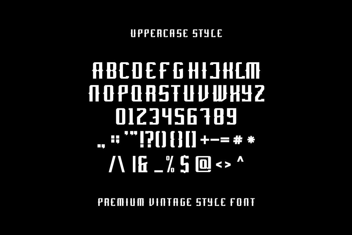 Abevo Font, a Serif Font by alanwarstd (Photo 4 of 5)