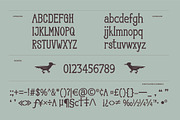 Canyonell - Country Display Typeface, a Serif Font by riff.type (Thumbnail 3 of 10)