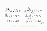 The Rose Atelier// Hand drawn Font, a Handwritten Font by PeachCreme (Thumbnail 7 of 15)