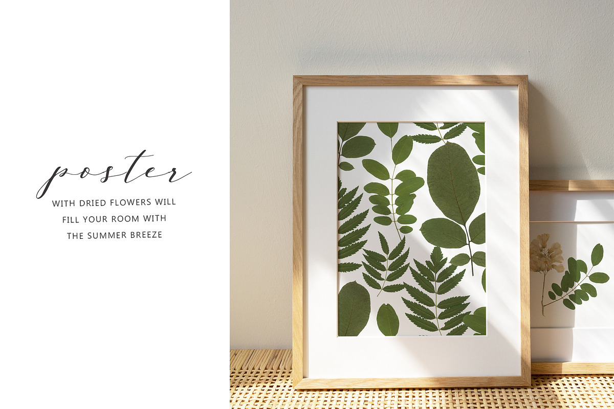 Pressed Dry Flowers & Leaves, an Object Graphic by Katya_lu (Photo 4 of 8)
