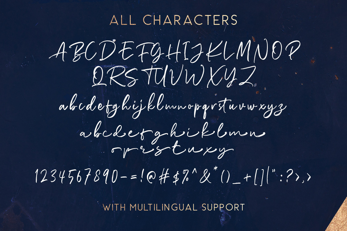 Richardson - Signature Brush, a Script Font by Sarid Ezra (Photo 15 of 15)