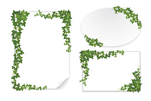 Ivy Vector Set For Floral Design