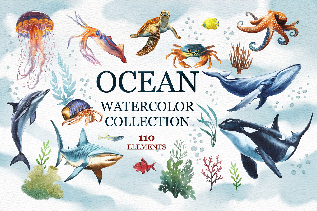 Underwater world watercolor collecti, an Animal Illustration by IrynaPanashii (Photo 1 of 16)