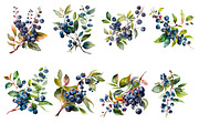 Blueberry Pie, Watercolor clipart., a Person Illustration by AkvarelRiver (Thumbnail 2 of 4)