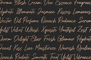 Leneora Seraphine Brush Handwritten, a Script Font by Denustudios (Thumbnail 10 of 15)