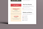 Business Fact Sheet Flyer, a Flyer Template by MightyDesign (Thumbnail 3 of 8)