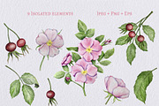 Rose Hip Flowers Clipart, a Decorative Illustration by Milla_Zelenyuk_art (Thumbnail 3 of 7)