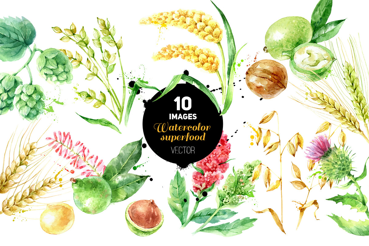 Watercolor Bundle Vector Set, a Food Illustration by Elena Pimonova (Photo 13 of 13)