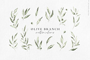 Olive branch watercolor illustration, an Illustration by Angele Kamp (Thumbnail 9 of 13)