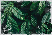 Watercolor from Photo Template, a Templates & Theme by Andrew Skoch Design (Thumbnail 3 of 6)