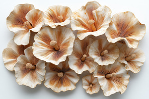 Decorative handcrafted flowers made, a Photo by Tanuart