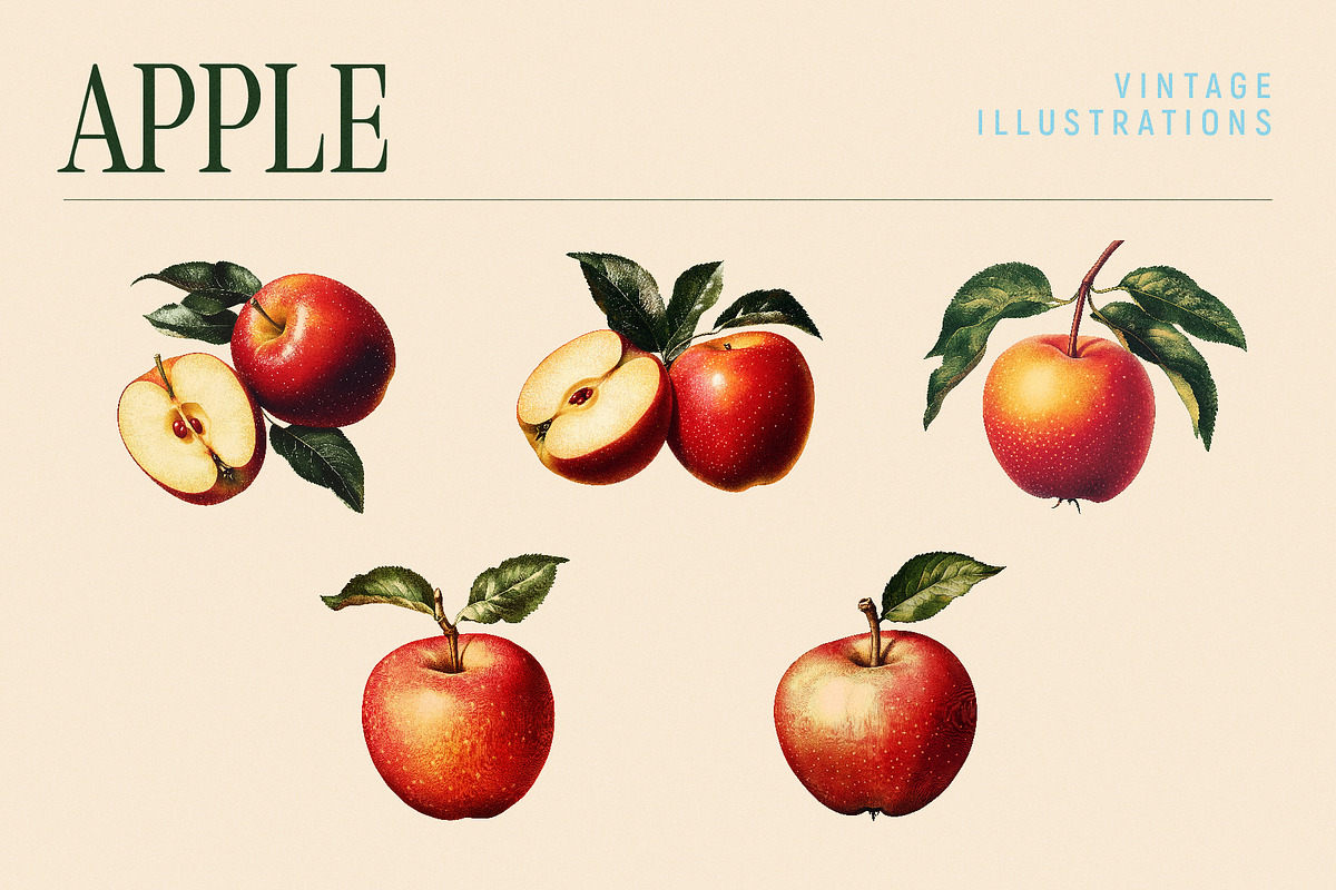 Vintage Graphic Elements_FRUITS, an Object Illustration by BOLD.Graphic (Photo 5 of 8)