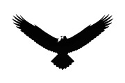 50 Flying Eagle Silhouette Vector Bu, an Illustration by Designs_River (Thumbnail 7 of 51)