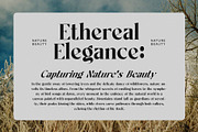 Cityhall History Family Serif Font, a Serif Font by Graphicxell (Thumbnail 3 of 8)