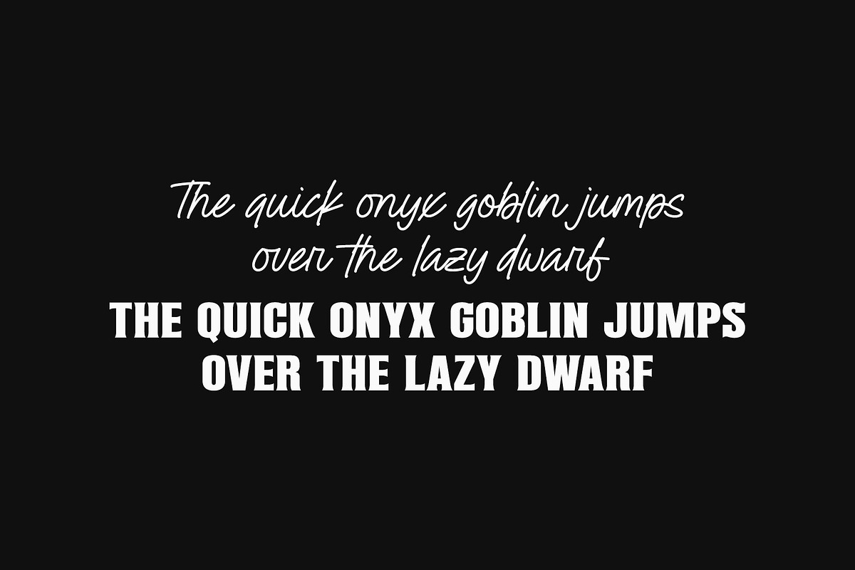 Budoin | Font Duo, a Script Font by Lemonthe (Photo 5 of 7)