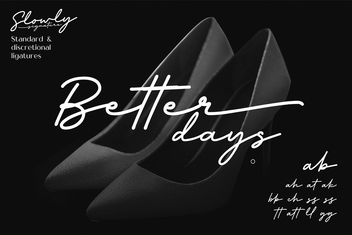 Slowly Signature, a Script Font by Drizy (Photo 6 of 8)
