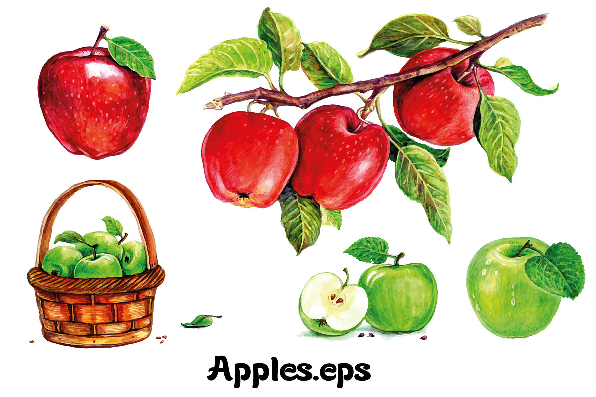 Fruits and berries collection_part 1, an Illustration by ZotovShop (Photo 2 of 20)