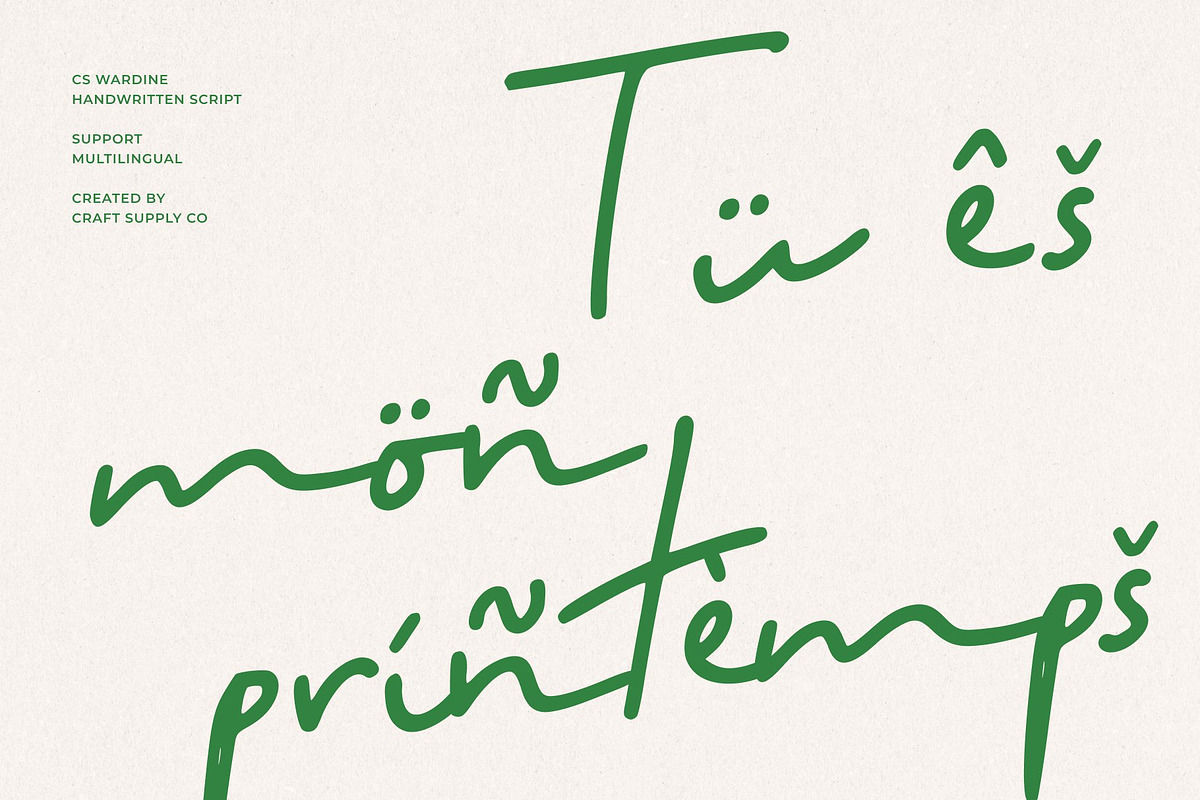 CS Wardine – Handwritten Script, a Script Font by Craft Supply Co. (Photo 7 of 8)
