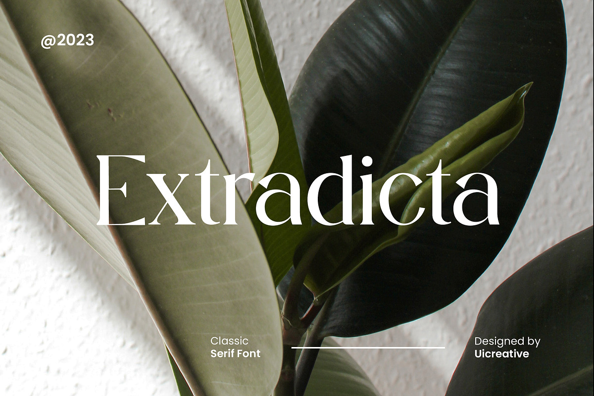 Extradicta Classic Serif Font, a Serif Font by UICreative (Photo 1 of 13)